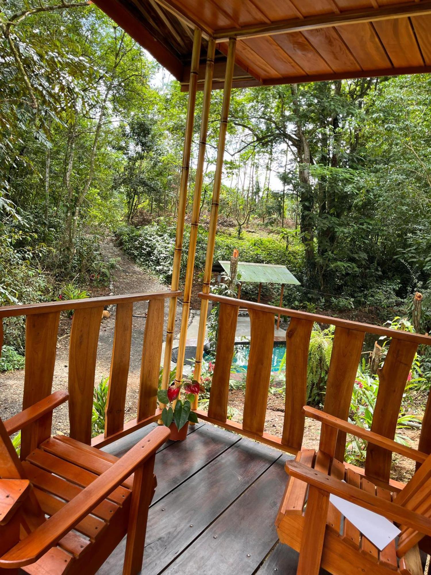 Gambas Lodge La Fortuna Exterior photo