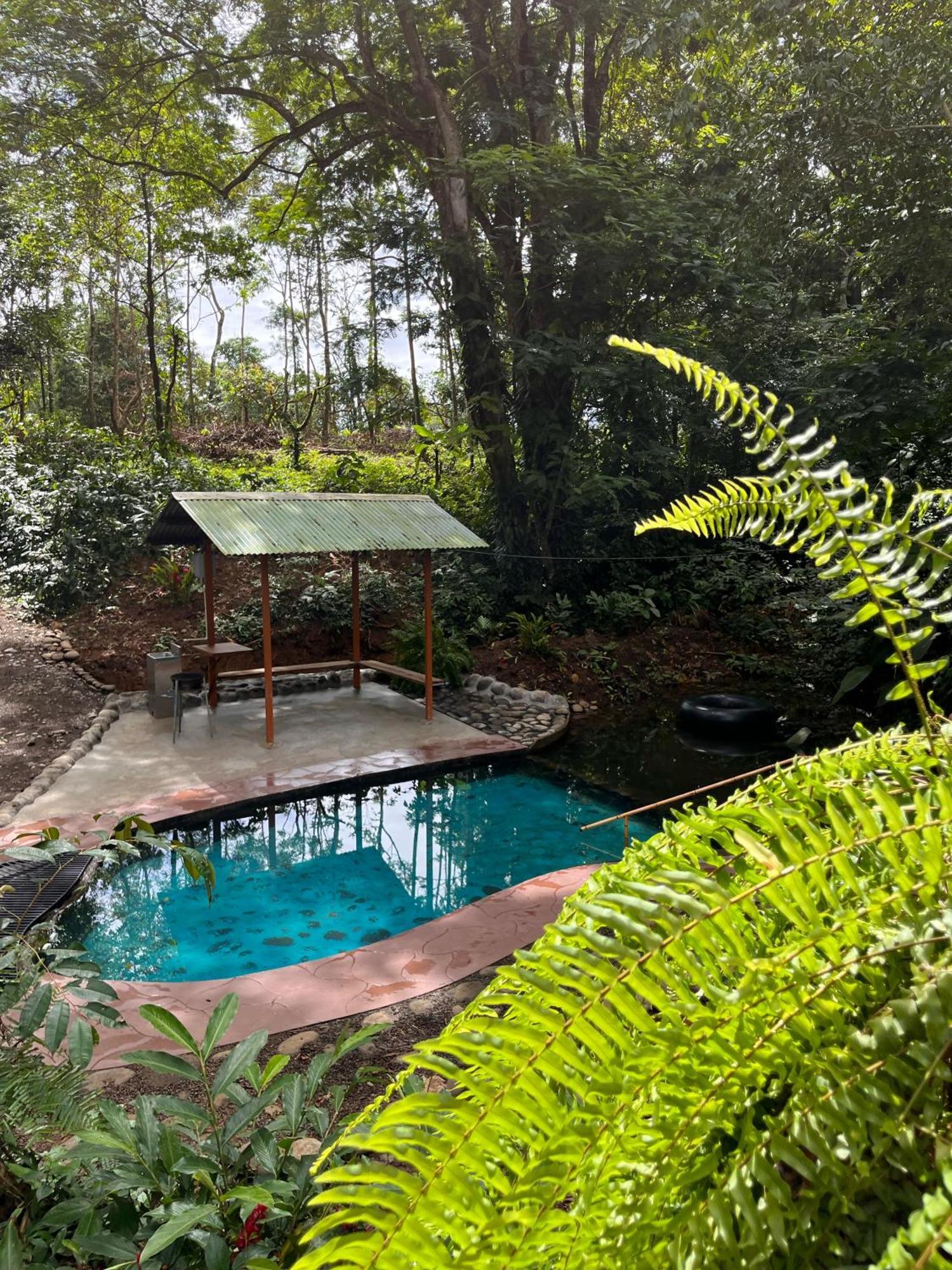 Gambas Lodge La Fortuna Exterior photo