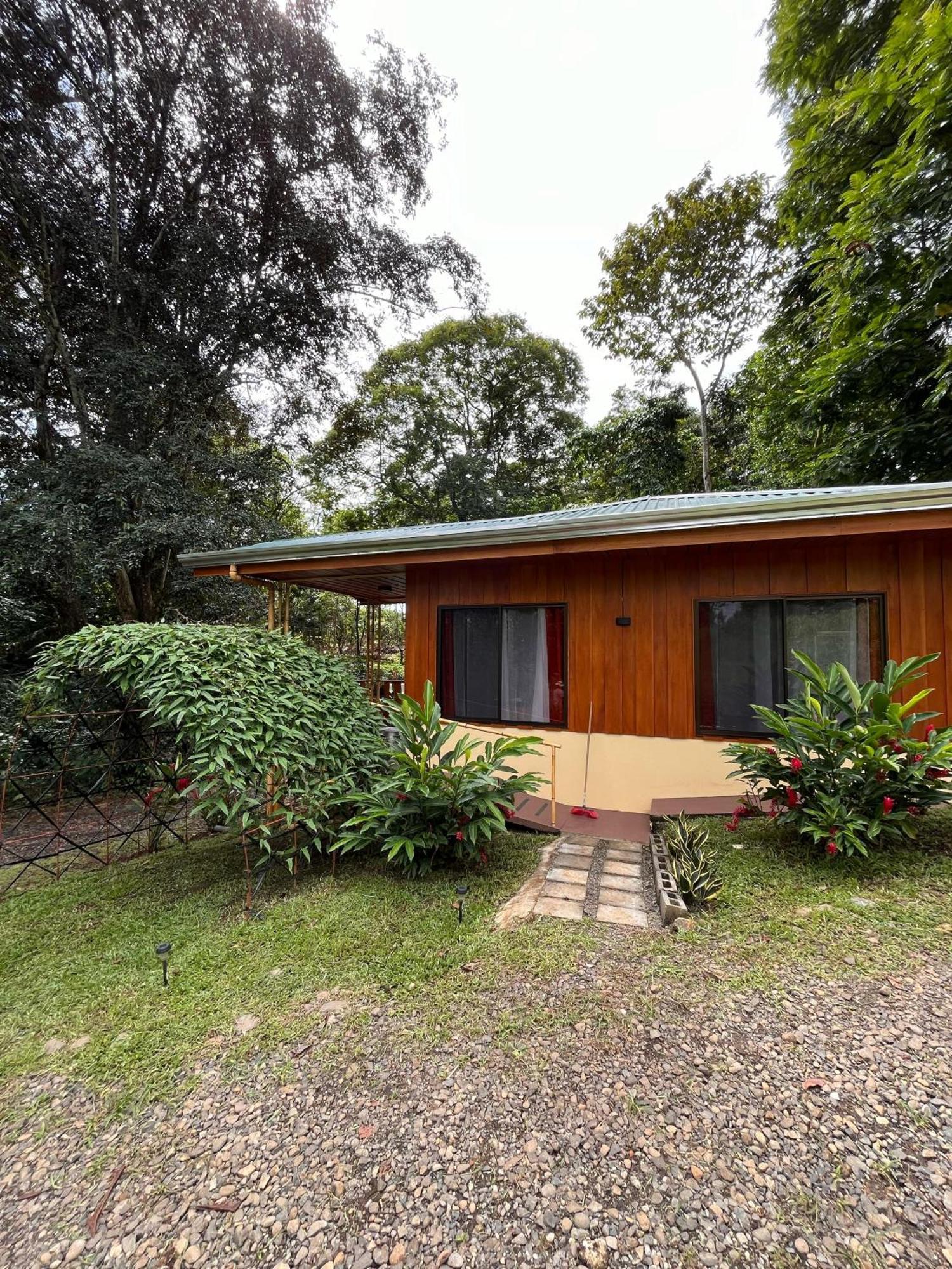 Gambas Lodge La Fortuna Exterior photo