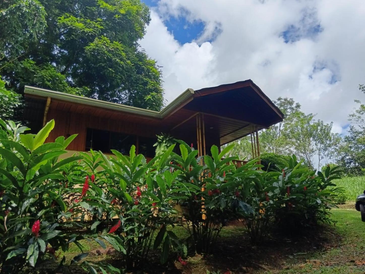 Gambas Lodge La Fortuna Exterior photo